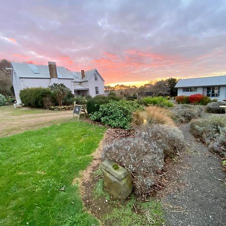 Robin Hoods Well Farm Stay Sassafras Exteriör bild