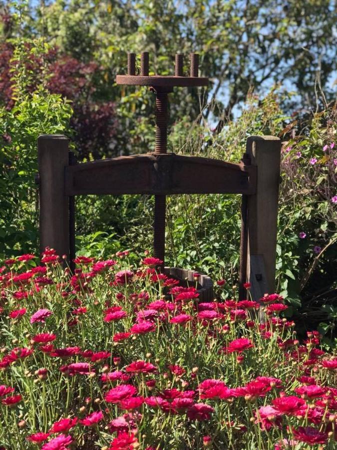 Robin Hoods Well Farm Stay Sassafras Exteriör bild
