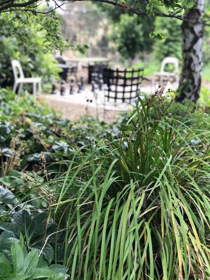 Robin Hoods Well Farm Stay Sassafras Exteriör bild