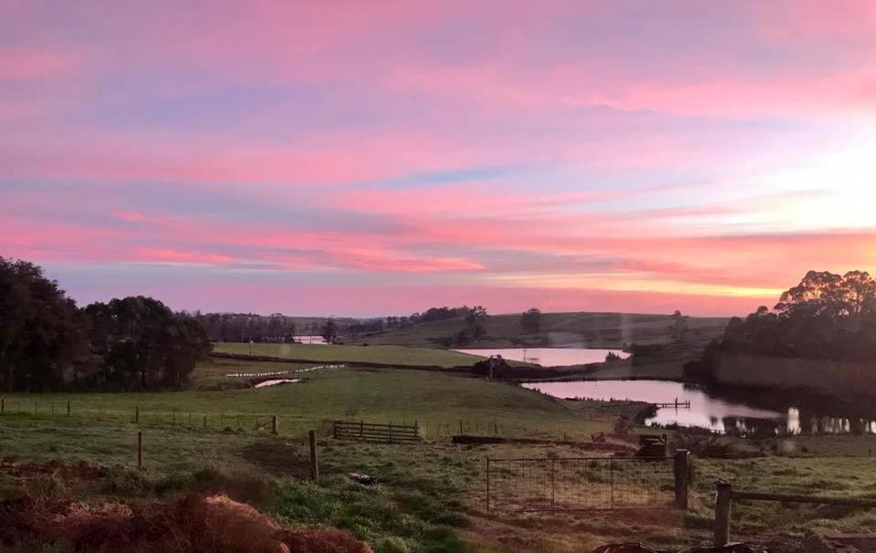 Robin Hoods Well Farm Stay Sassafras Exteriör bild
