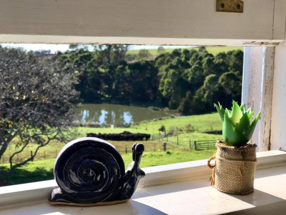 Robin Hoods Well Farm Stay Sassafras Exteriör bild