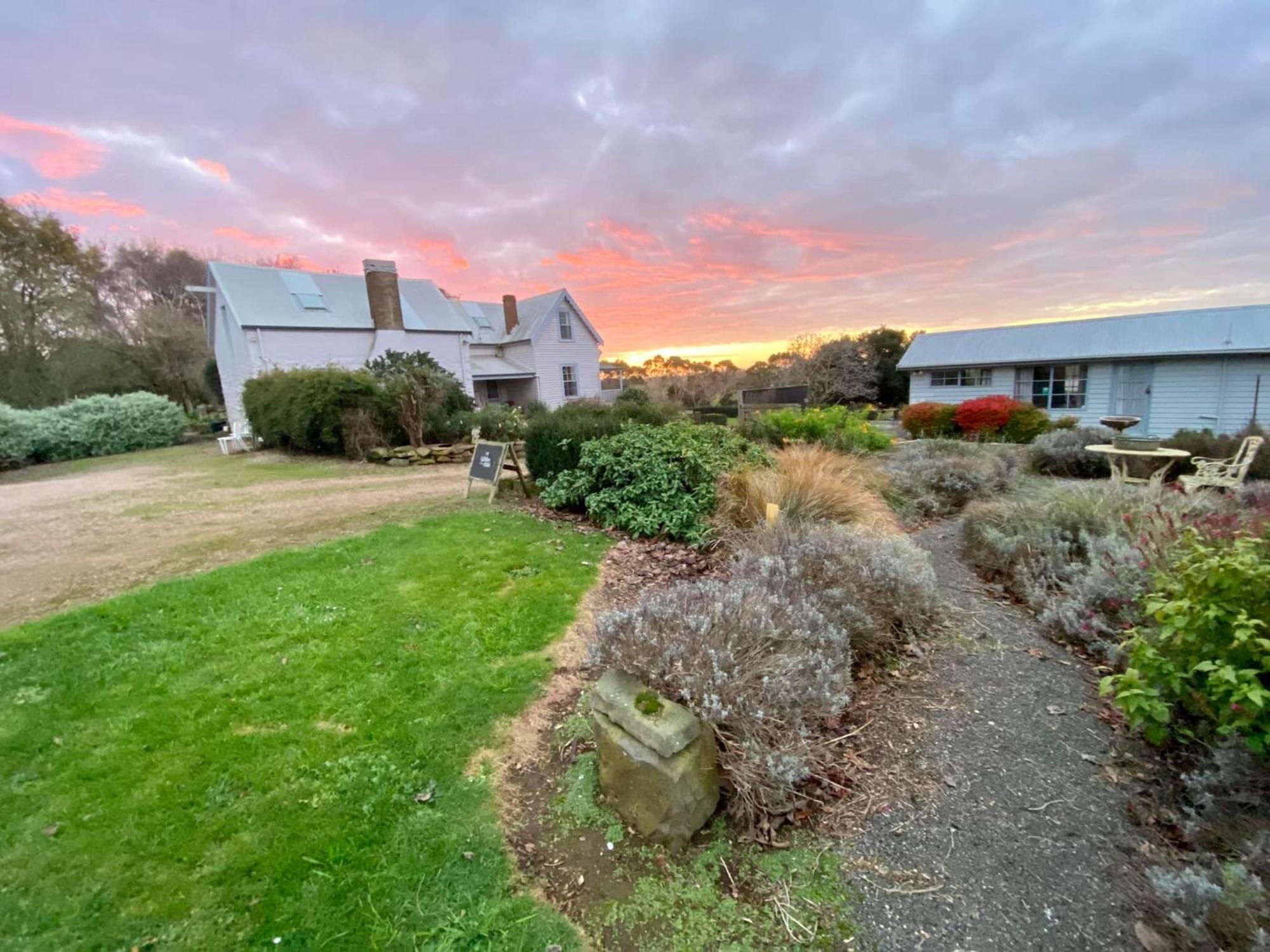 Robin Hoods Well Farm Stay Sassafras Exteriör bild