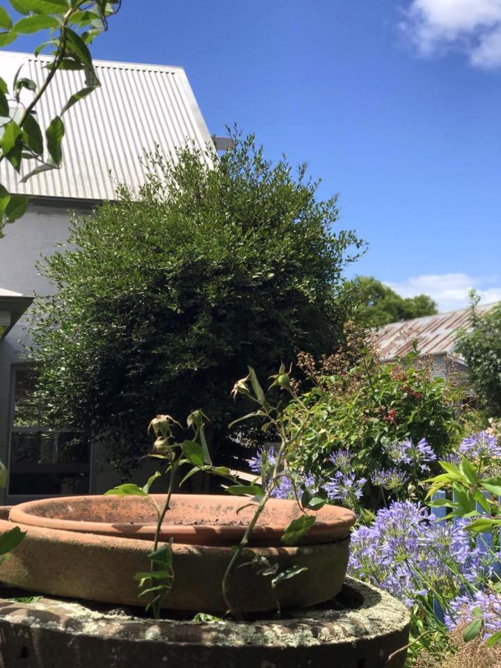 Robin Hoods Well Farm Stay Sassafras Exteriör bild