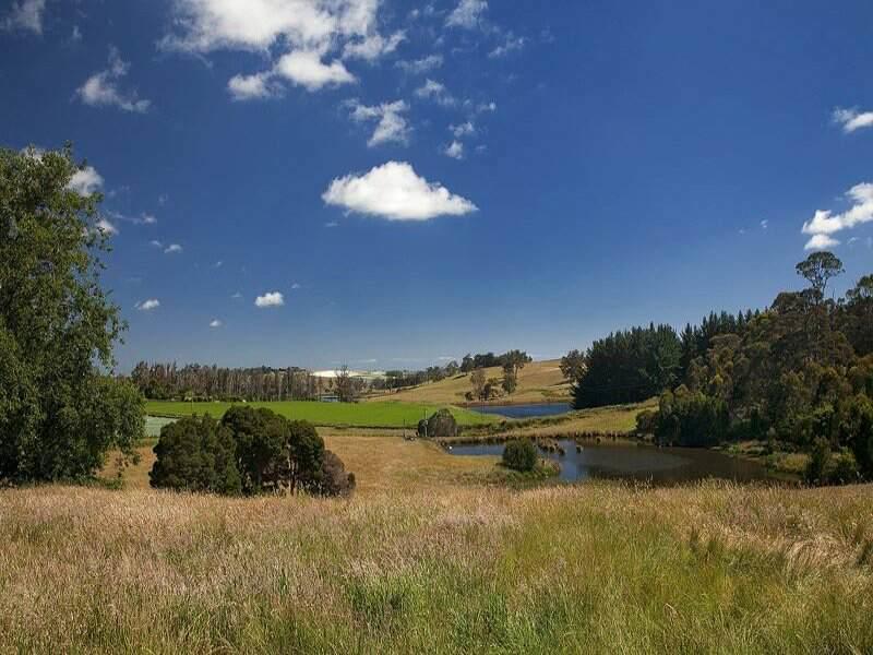 Robin Hoods Well Farm Stay Sassafras Exteriör bild