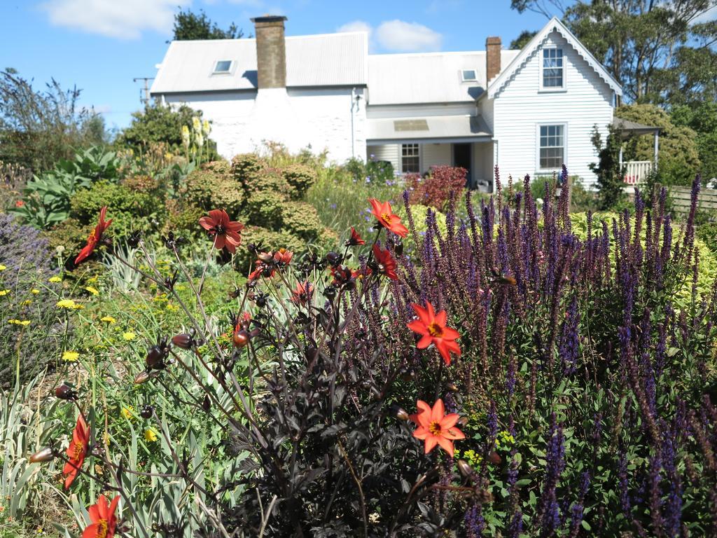 Robin Hoods Well Farm Stay Sassafras Exteriör bild