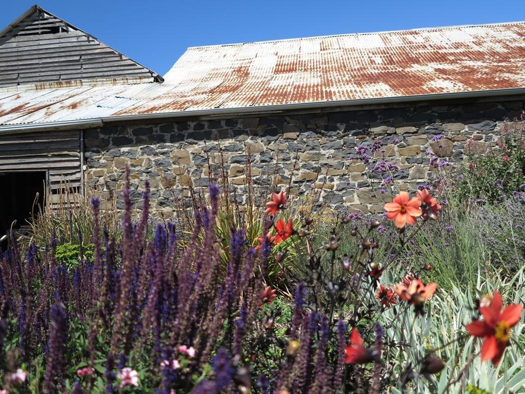 Robin Hoods Well Farm Stay Sassafras Exteriör bild