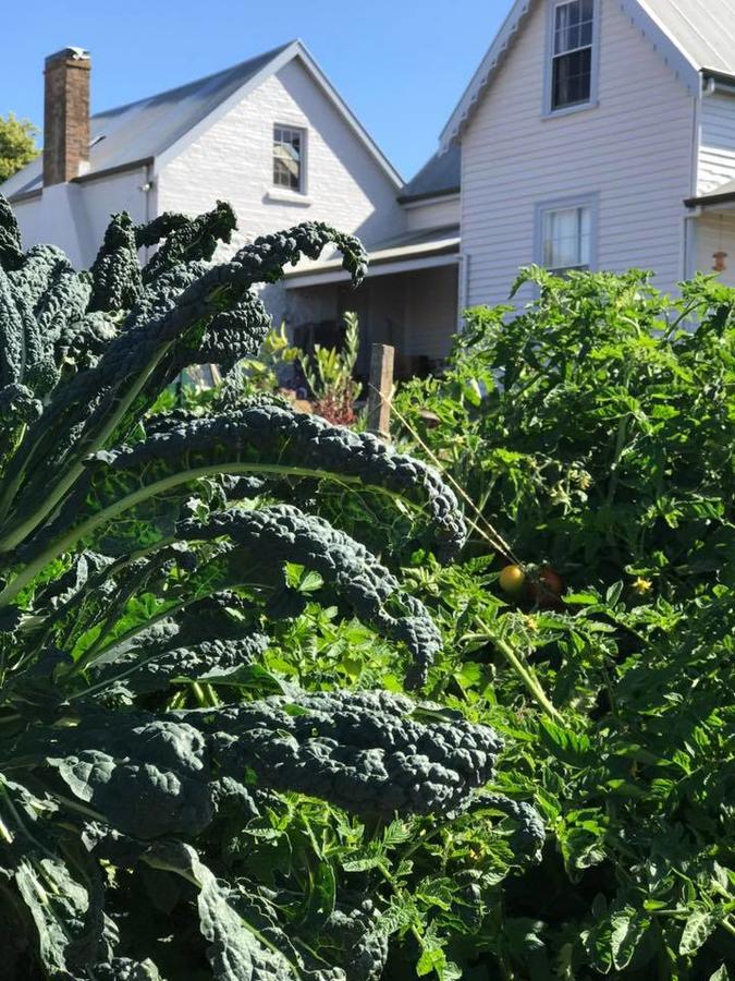 Robin Hoods Well Farm Stay Sassafras Exteriör bild